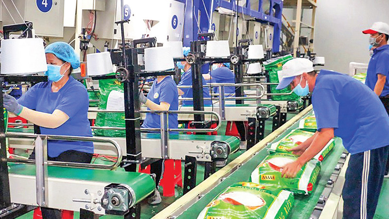 Упаковка риса для экспорта на рынок ЕС в АО высоких технологий «Чунган» (Кантхо). Фото: Нам Фыонг Упаковка риса для экспорта на рынок ЕС в АО высоких технологий «Чунган» (Кантхо). Фото: Нам Фыонг