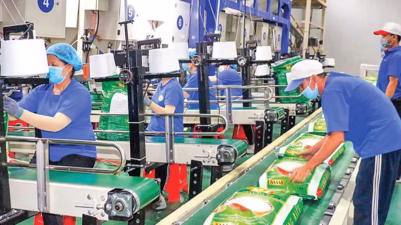 Упаковка риса для экспорта на рынок ЕС в АО высоких технологий «Чунган» (Кантхо). Фото: Нам Фыонг