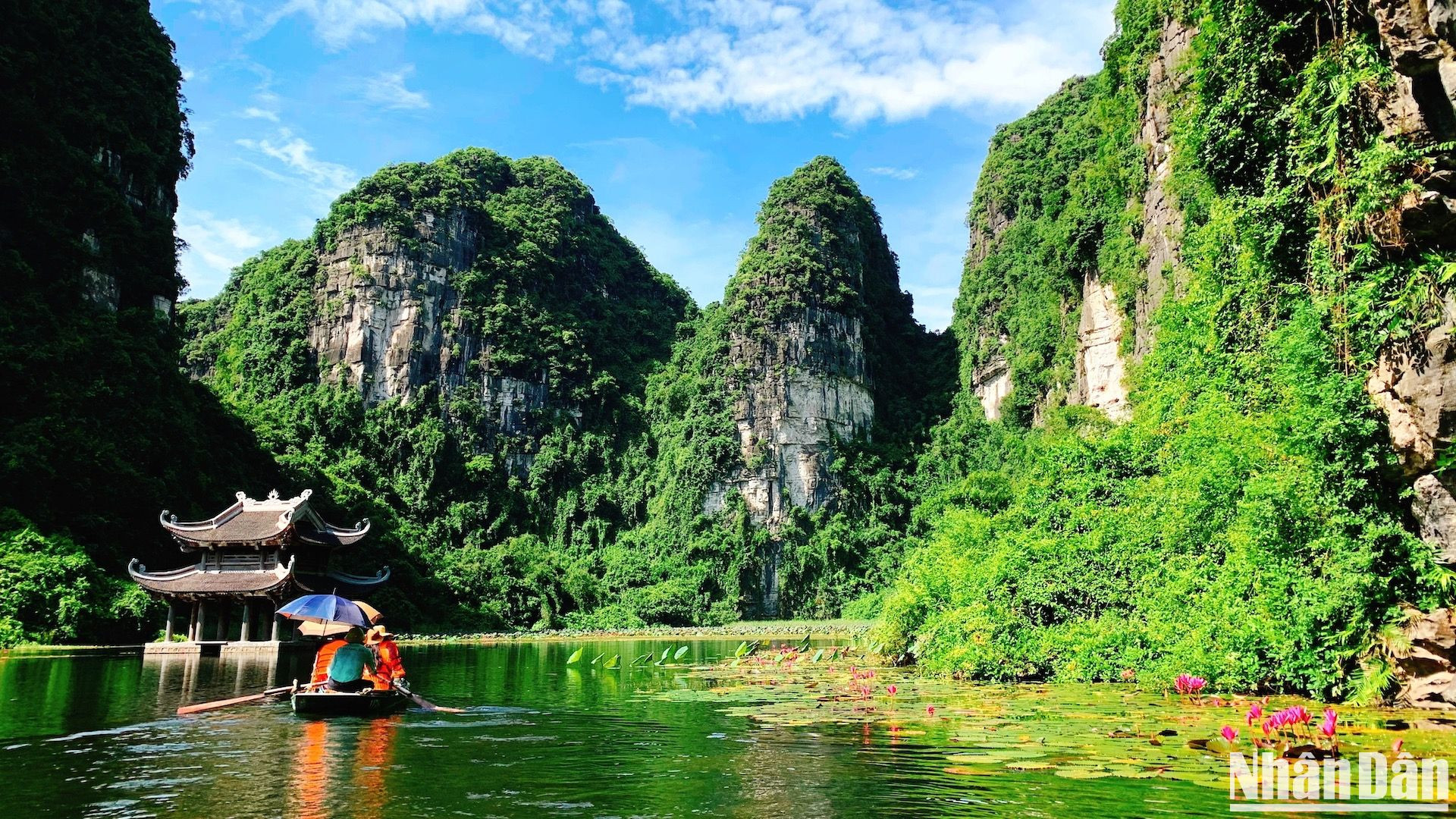 Голубое небо, белые облака, цветущие фиолетовые кувшинки – пейзажи в Чанганг похожи на сказку. Голубое небо, белые облака, цветущие фиолетовые кувшинки – пейзажи в Чанганг похожи на сказку.