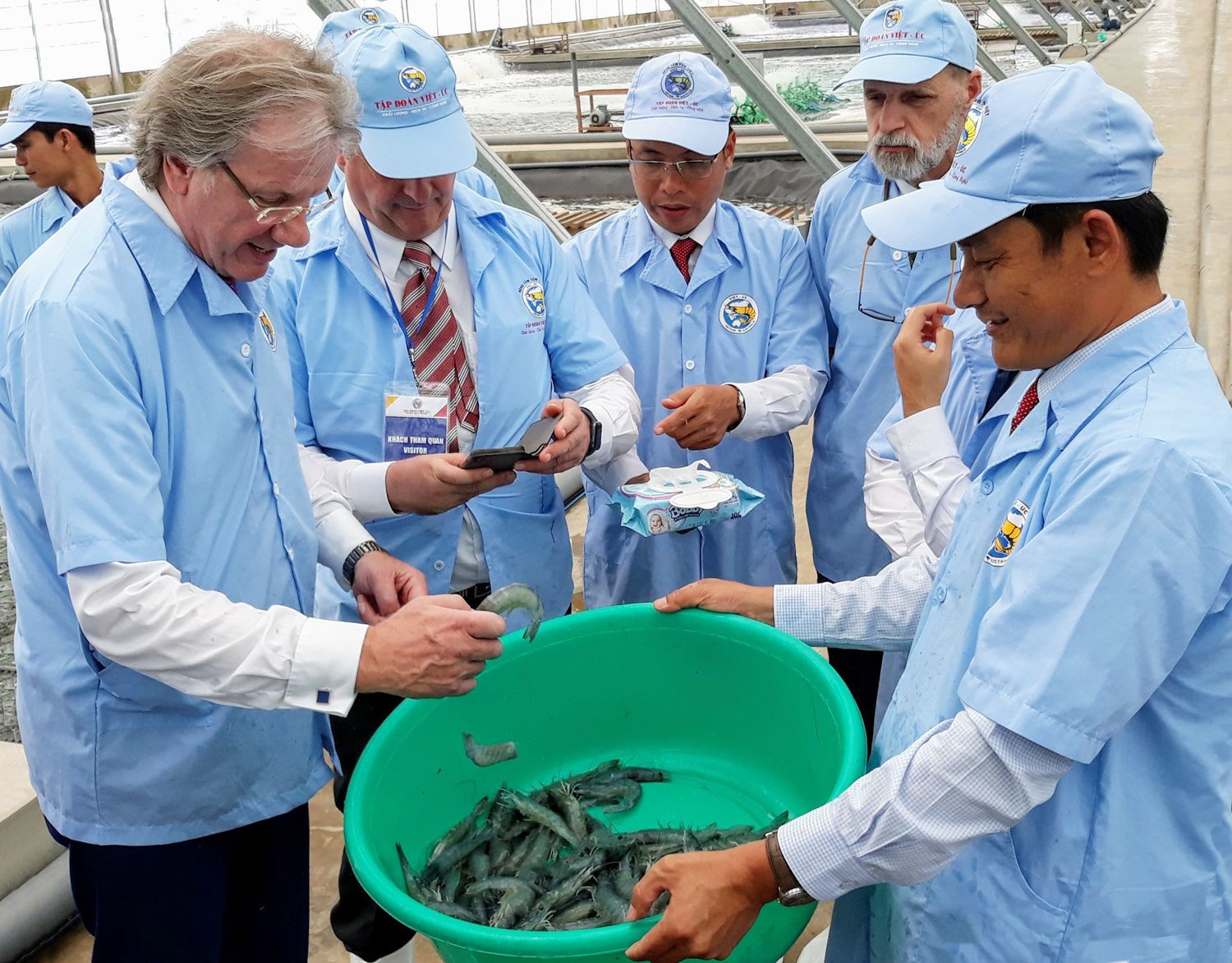 Австралийские предприятия изучают высокотехнологичную модели выращивания креветок во Вьетнамско-австралийской корпорации (город Баклиеу, провинция Баклиеу. Фото: ВИА Австралийские предприятия изучают высокотехнологичную модели выращивания креветок во Вьетнамско-австралийской корпорации (город Баклиеу, провинция Баклиеу. Фото: ВИА