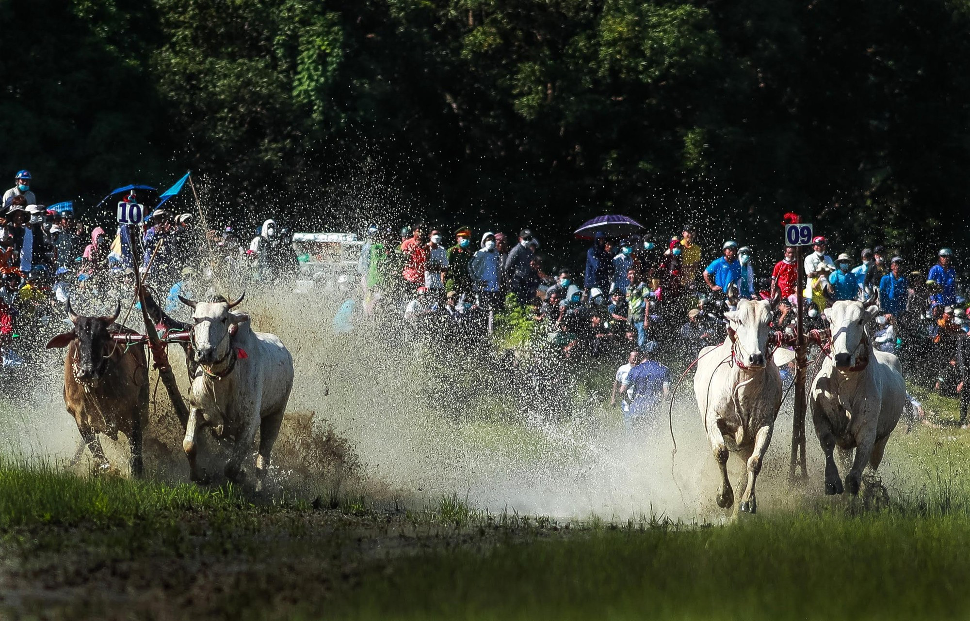 Фото: Тхань Дат Фото: Тхань Дат