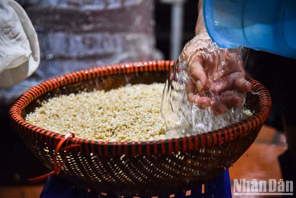 Клейкий рис промывают и замачивают на день, чтобы зерна впитали достаточно воды для приготовления.