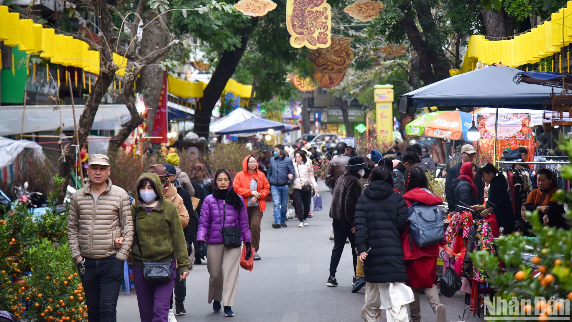 В этом году цветочный базар Ханглыок открылся 26 января. Базар проводится только раз в году, с 15 по 30 декабря по лунному календарю. В этом году цветочный базар Ханглыок открылся 26 января. Базар проводится только раз в году, с 15 по 30 декабря по лунному календарю.