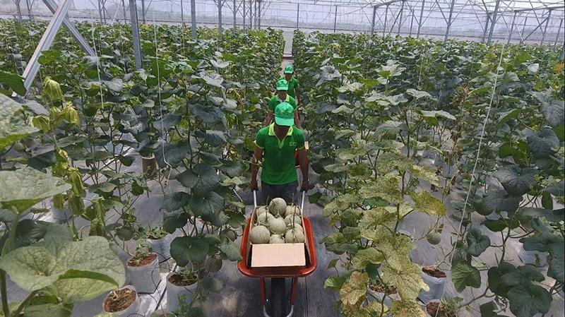 Сельскохозяйственная продукция должна отвечать высоким требованиям рынка, чтобы выйти на рынок Нидерландов и Северной Европы.
