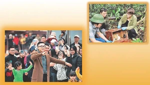 Искусство – это жить красиво с обществом