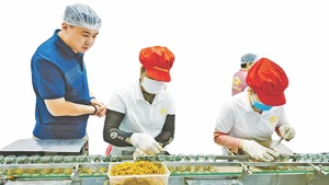 Расширяющаяся дверь в халяльную экономику