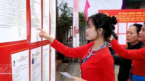 Избирательница народности Мыонг, впервые участвующая в выборах, внимательно изучает биографию кандидатов. Фото: ВИА