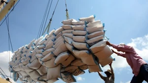 Погрузка вьетнамского риса на экспорт Иллюстративное фото: ВИА