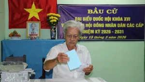 Жители общины Танфудонг провинции Донгтхап досрочно голосуют на избирательных участках. Фото: ВИА