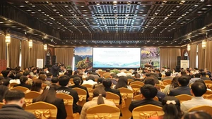 Делегаты на семинаре