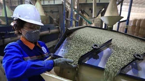 Переработка кофе на предприятии Simexco Dak Lak. Продукция с низким, прозрачным и эффективно управляемым углеродным следом будет обладать долгосрочными конкурентными преимуществами. Фото: ВИА