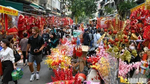 Иллюстративное фото: Тхань Дат