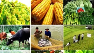 Конфликт на Ближнем Востоке проверяет устойчивость сельскохозяйственного сектора Вьетнама