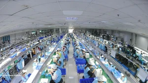 Производственная линия электронной продукции в компании Suntech - промышленный кластер Тханьван. Фото: ВИА