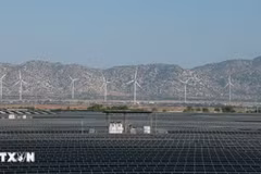 Солнечная энергетическая система в провинции Кханьхоа. Фото: ВИА