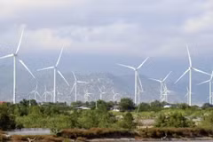 Южная часть провинции Кханьхоа обладает значительным потенциалом для развития проектов ветроэнергетики. Фото: ВИА