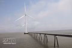 Вьетнам располагает значительным потенциалом для развития солнечной и ветровой энергетики. Фото: ВИА