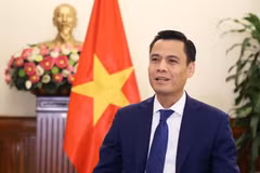 Заместитель министра иностранных дел Данг Хоанг Зянг. Фото: МИД Вьетнама