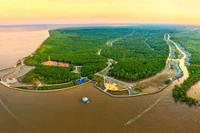 Национальный парк Мыса Камау с высоты. Фото: thamhiemmekong.com