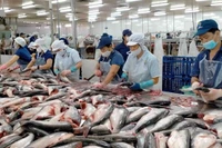 ЕС является одним из ведущих экспортных рынков водной продукции Вьетнама. Фото: vneconomy.vn