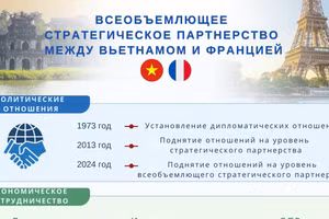 [Инфографика] Всеобъемлющее стратегическое партнерство между Вьетнамом и Францией