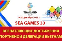 SEA Games 33: впечатляющие достижения спортивной делегации Вьетнама