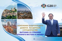 Укрепление политического доверия, расширение сотрудничества Вьетнама со странами Ближнего Востока и Африки