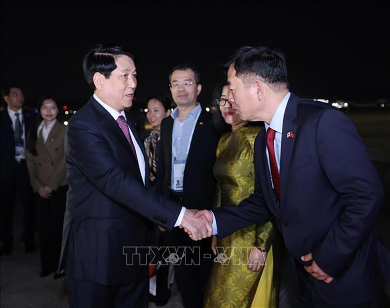 Посол Вьетнама в Южной Корее Ву Хо провожает Президента Лыонг Кыонга. vna-potal-chu-tich-nuoc-ket-thuc-tot-dep-chuyen-tham-du-tuan-le-cap-cao-apec-lan-thu-32-stand-4.jpg