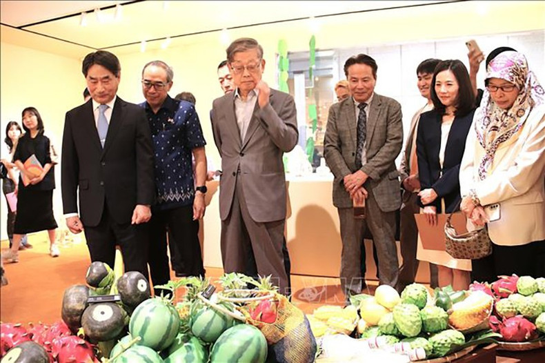 Гости посещают первую выставку в Зале АСЕАН в Сеуле. Фото: ВИА vna-potal-khai-truong-khong-gian-ket-noi-asean-va-han-quoc-tai-seoul-stand-1.jpg