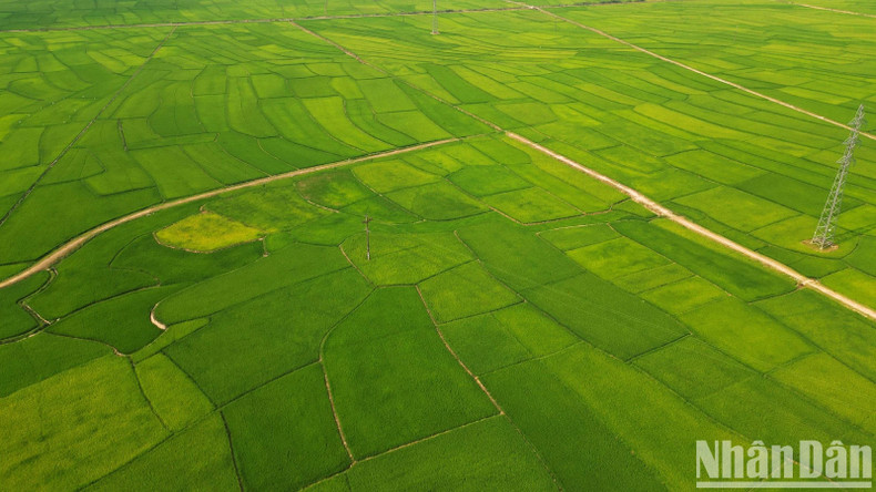 Те изменения, которые происходят в Мыонгфанге сегодня, являются результатом совместных усилий и консенсуса всей политической системы, а также солидарности всех местных народностей. Те изменения, которые происходят в Мыонгфанге сегодня, являются результатом совместных усилий и консенсуса всей политической системы, а также солидарности всех местных народностей.