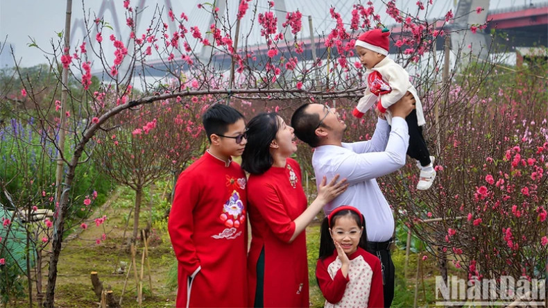 Счастливая семья в окружении ярких весенних цветов персика в Ханое (Вьетнам). Фото: Тхань Дат