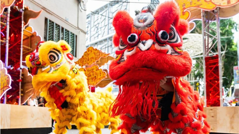 Команда танцующих львов выступает во время пресс-презентации лунного фестиваля в Чайнатауне в Сиднее (Австралия). Фото: Синьхуа