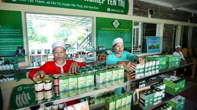 Сельскохозяйственный кооператив Йенчи в уезде Йентхюи, Хоабинь, инвестировал в современные производственные линии для производства высококачественных растительных экстрактов.