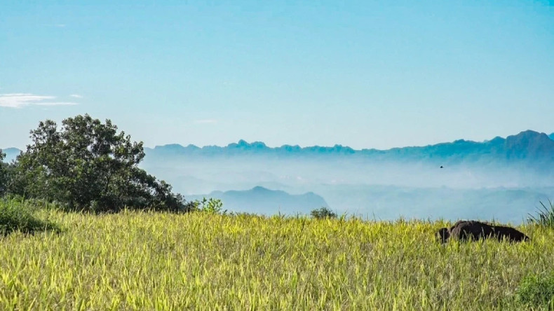 Террасные поля в общине Миендой изящно извиваются вдоль склонов холмов.