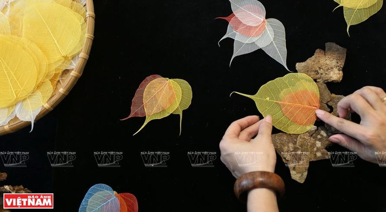 Склейка листьев с фрагментами коры дерева. Фото: Тхань Жанг