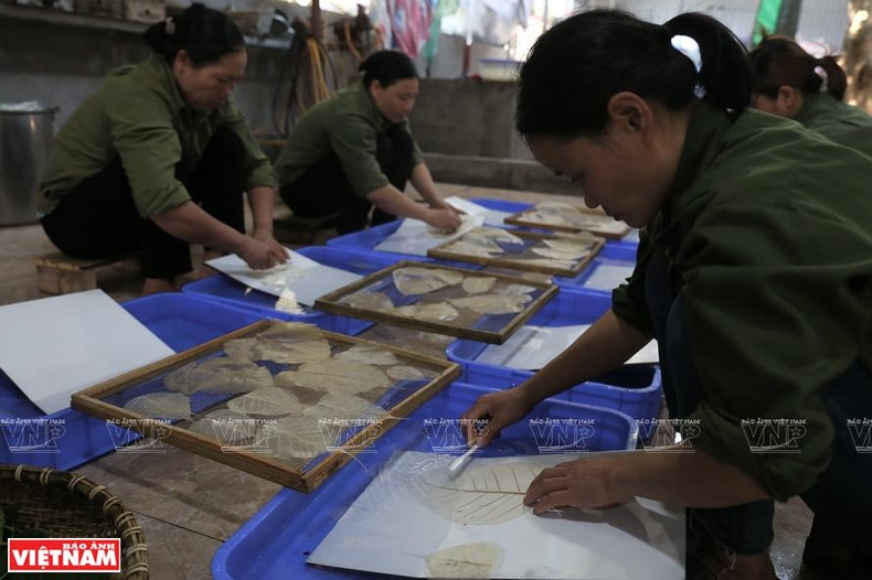 Листья промывают и высушивают на солнце, после чего красят. Фото: Тхань Жанг