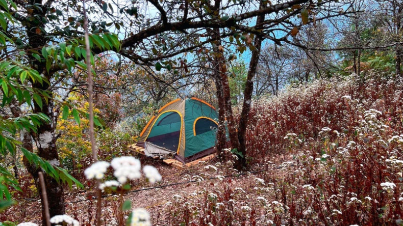 Помимо проживания в хоумстей, популярностью пользуется и кемпинг под пологом леса, особенно среди молодых туристов.