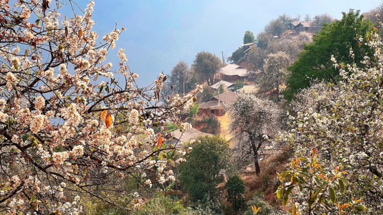 Селение Намнгиеп расположена на высоте от 2000 до 2300 метров над уровнем моря, примерно в 12 км от центра общины Нгоктьиен.