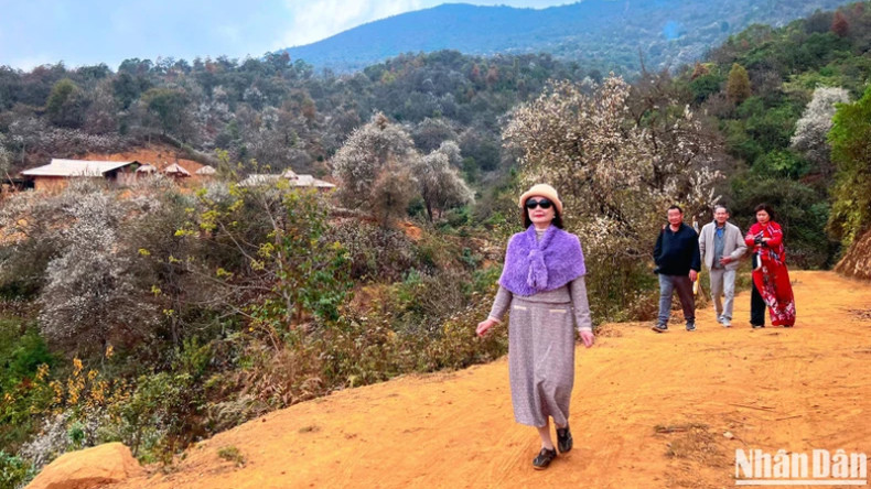 Приезжая в селение Намнгиеп, посетители могут прогуляться по селению, подышать высокогорным воздухом, полюбоваться цветами и сфотографироваться с ними.