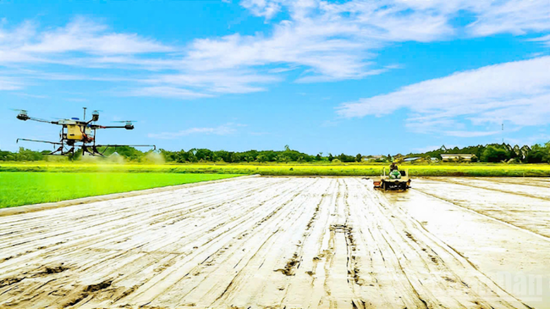 Фермеры города Кантхо применяют высокие технологии в производстве.