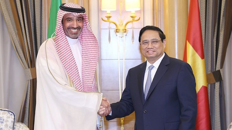 Премьер-министр Фам Минь Тьинь и Министр человеческих ресурсов и социального развития Ахмед Аль-Раджи. Фото: VGP