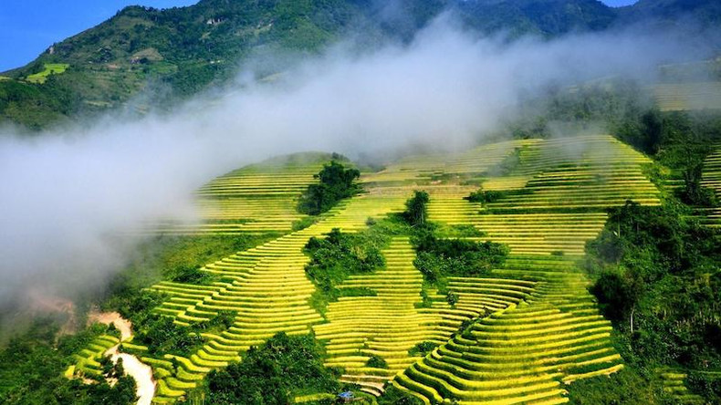 Террасные поля в Шапе. Фото: ВИА Террасные поля в Шапе. Фото: ВИА