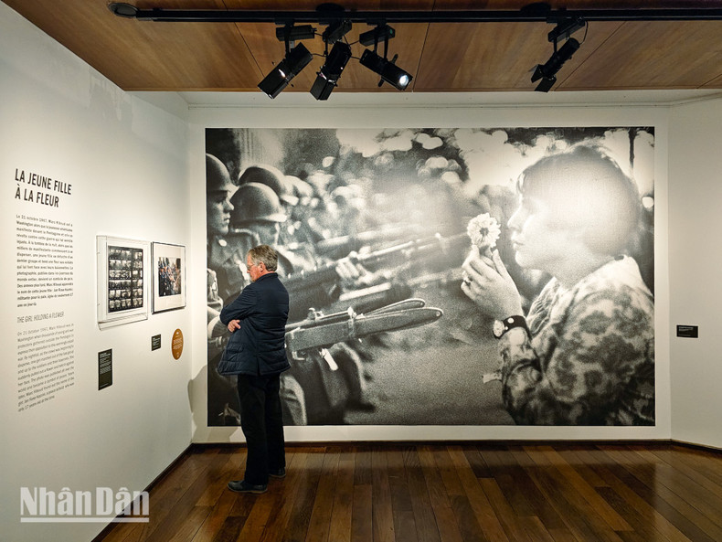 Фотография «Девушка с цветком» стала символом антивоенного духа. Фотография «Девушка с цветком» стала символом антивоенного духа.