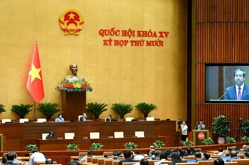 Общий вид пленарного заседания НС в зале в первой половине дня 25 ноября. Фото: Зюи Линь