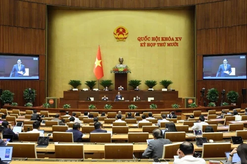 НС обсуждает в зале проект Закона об электронной коммерции. Фото: Зюи Линь