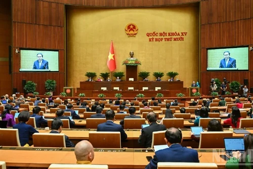 Общий вид заседания НС во второй половине дня 11 декабря 2025 г. Фото: Зюи Линь