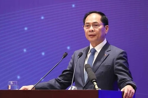 Заместитель Премьер-министра Буй Тхань Шон выступает на конференции. Фото: ВИА 