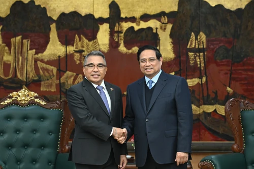 [Фото] Премьер-министр Фам Минь Тьинь принял Посла Филиппин во Вьетнаме