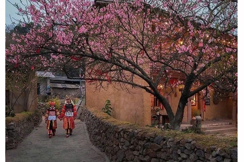  Община Лунгку весной утопает в цветении сакуры. Фото: ВИА