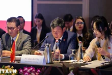 Заместитель генерального аудитора Вьетнама Доан Ань Тхо выступает на мероприятии. (Фото: ВИА)